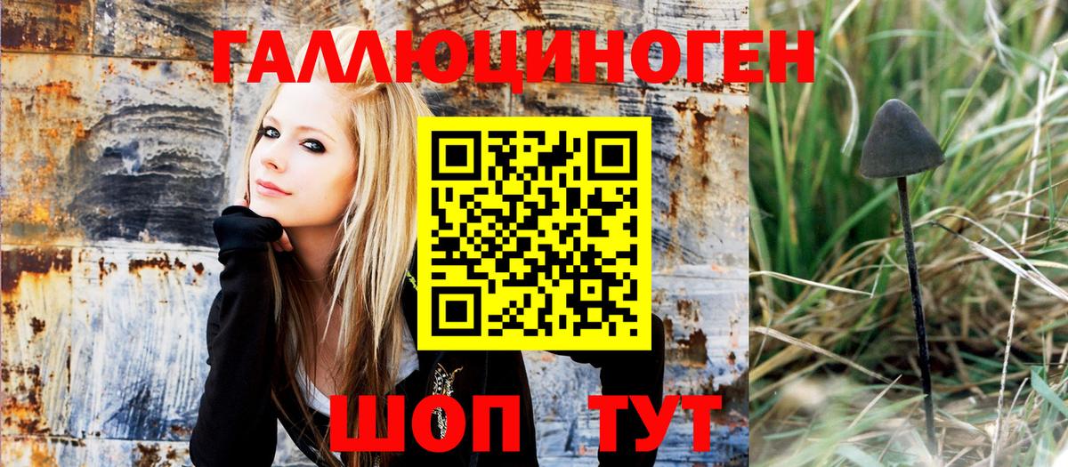 Псилоцибиновые грибы Magic Shrooms  Псилоцибиновые грибы Magic Shrooms  Пенза  Вход с VPN 