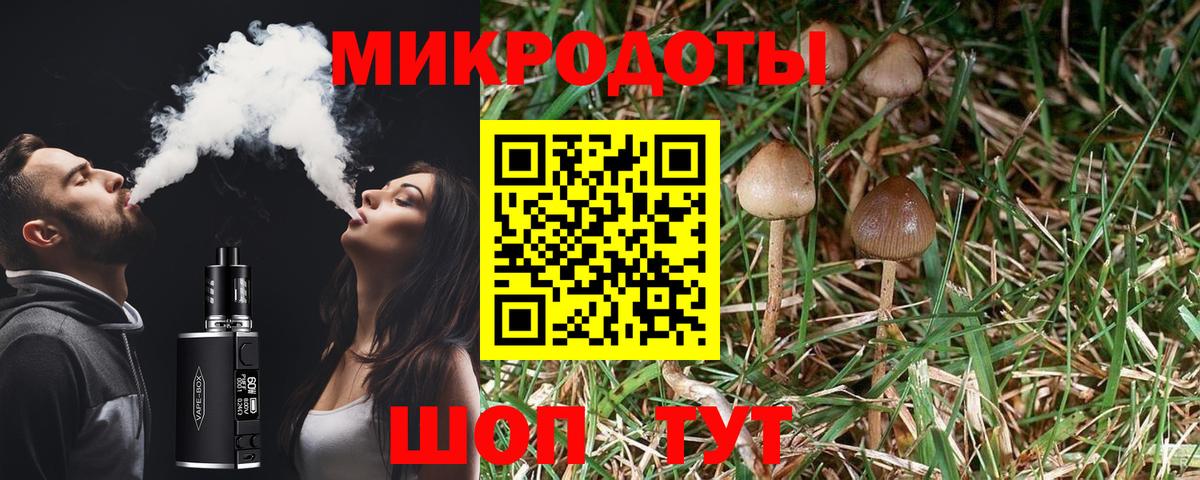 Лсд 25 Пенза